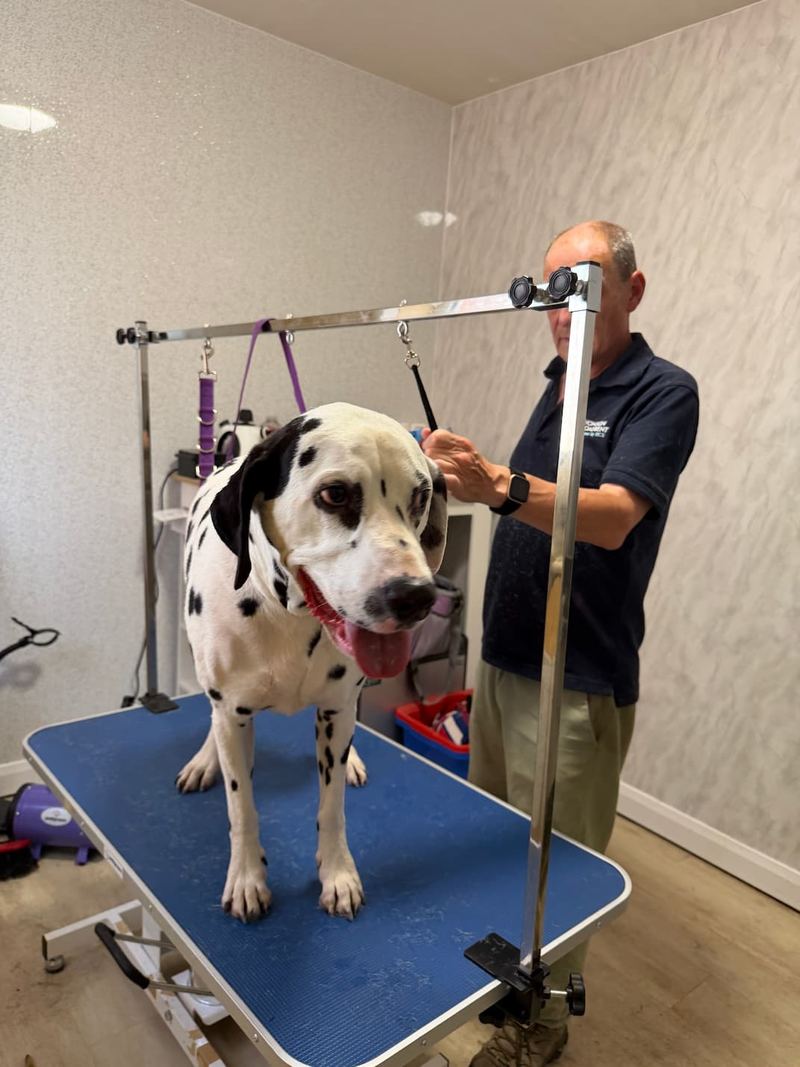 Keith with a freshly-groomed dalmatian.
