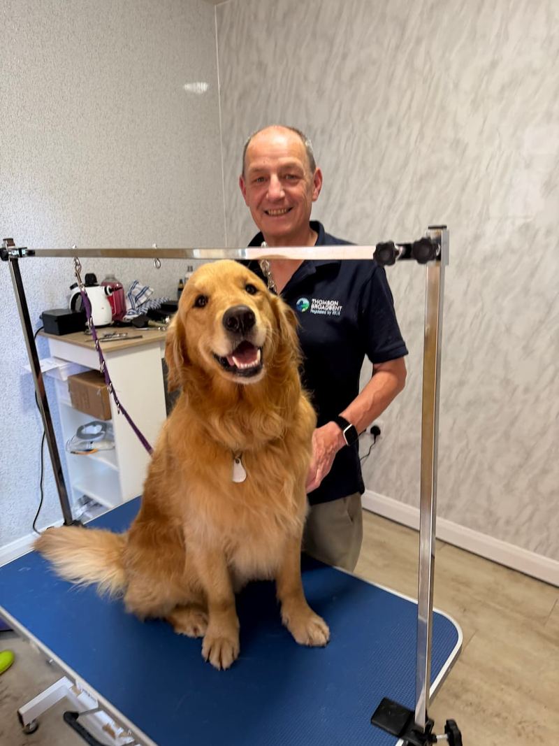 Keith with a freshly groomed golden retriever.