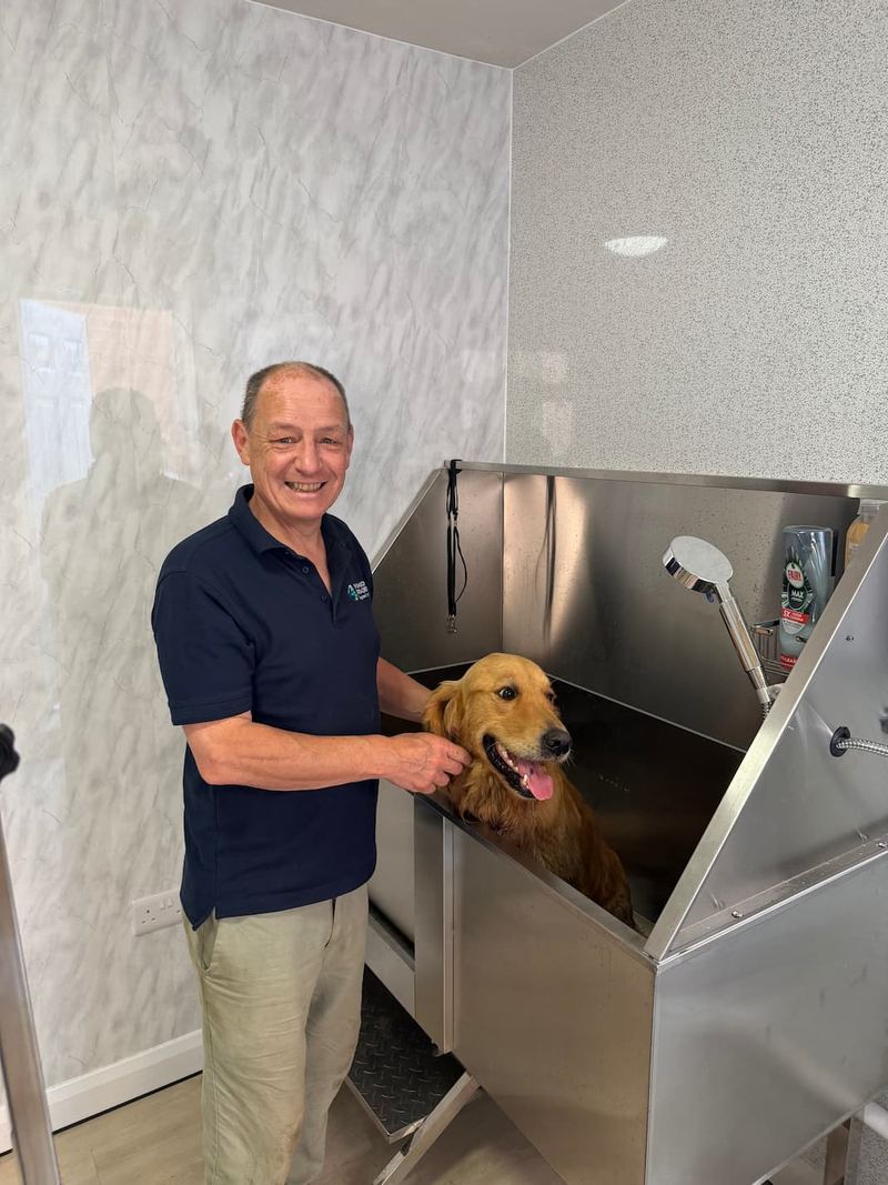 Keith Kershaw, IPET-qualified dog groomer at Keith's K9 Care, Hall Green